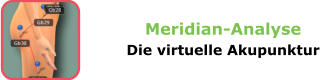 Meridian-Analyse Die virtuelle Akupunktur