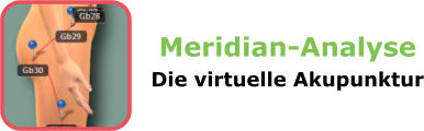 Meridian-Analyse Die virtuelle Akupunktur